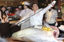 Modroplavutega tuna prodali za 31.000 evrov (foto)