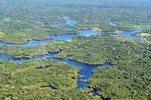 Odvisnost amazonskega pragozda od saharske puščave in kako bi nanjo vplivalo globalno segrevanje?