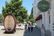 V Vinagu obsedeli na starem vinu in vinogradih