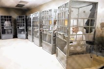 Zasebni zapori v ZDA: Država kaznuje, kapital pobira dobiček