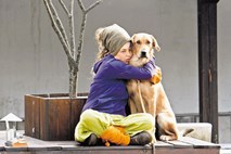 Človek in pes: Prihod novorojenčka - kako do mirnega sobivanja s psom