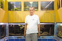 Skriti kotički Ljubljane: V akvariju sredi Šiške živijo eksotične vrste rib, rakov in tudi želve