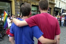 Ustavno sodišče dovolilo referendum o pravicah istospolnih parov