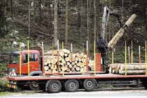 Gozdna renta občinam, ki je pred petimi leti odnesla ministra Milana Pogačnika, ostaja