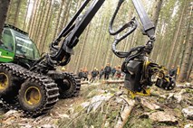 “Gozdarski baroni” pisali Cerarju: Spremembe vodijo v razpad gozdarstva in lesne predelave  