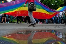 Ustavno sodišče tudi uradno dovolilo referendum o pravicah istospolnih