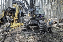 Gozdarje je zaradi novega gozdarskega podjetja  Slovenski državni gozdovi, d.o.o., strah kolapsa v državnih gozdovih
