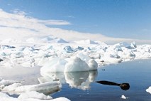 Nasini znanstveniki trdijo, da Antarktika pridobiva led, drugi jim oporekajo