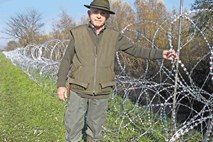 Ob madžarski meji že štejejo poginule srne in košute, ujete v ostro ograjo. Jih bomo tudi pri nas?