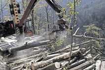 Podjetnik Mirko Katalenić: konkurenčnejšim Avstrijcem bomo les ponujali kot v izložbi