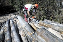 Opozicija proti ustanovitvi državnega gozdarskega podjetja, raje bi začasno podaljšali koncesije gozdarskim šejkom 