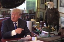 Donalda Trumpa med fotografiranjem napadel beloglavi orel
