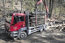 Ob ustanavljanju novega državnega podjetja se je razvnel politični boj za gozdarski plen 