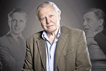 David Attenborough, sinonim za dokumentarec