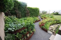 Sodobni zelenjavni vrtovi nimajo samo uporabne, ampak tudi estetsko vrednost    