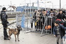 Prevajalci med begunsko krizo: so prestopili mejo pristojnosti? 