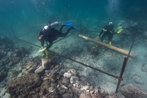 Arheologi so potrdili: našli smo razbitino ladje Vasca da Game iz leta 1503