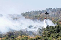 Požari v naravi: letos trije na dan in smrtna žrtev