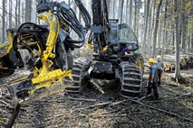 Gozdarje je zaradi novega podjetja Slovenski državni gozdovi strah za službe, lesarje skrbi, ali bodo še imeli les 