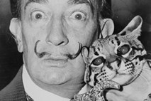 Po neuspešni dražbi »Dalíja«: Furs za pristnost slike ne odgovarja