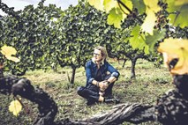 Marina Cvetić, italijanska vinarka: Najboljša italijanska vinarka je Jugoslovanka
