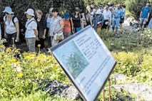 V Botaničnem vrtu zavzeto opravljajo poslanstvo še iz Ilirskih provinc