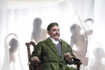 Kritika opere Don Pasquale: Na pol  poti