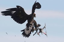 Francoska vojska nad drone kar z orli