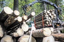 Lesarji in žagarji: Hočemo vedeti, kdo je dobil les iz državnih gozdov
