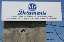  Tajnica Mire Senice na sodišču krivdo v zadevi Delamaris zavrnila, Hilde Tovšak ni bilo