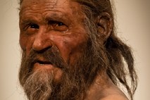 Ledeni mož Ötzi je bil umorjen iz maščevanja