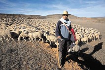 Maročan, ki rešuje špansko podeželje