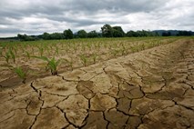 Kljub nevihtam ponekod po državi še vedno vztraja suša