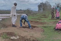 Prostovoljci v Indiji v 12 urah zasadili 66 milijonov dreves 