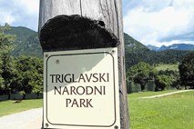 Zavod Triglavski narodni park ponovno brez vodstva