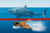 Zakaj so mnogi razočarani nad plavalno tekmo med Phelpsom in morskim psom?