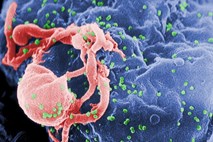 Deklica, okužena s HIV, že devet let normalno živi brez zdravil