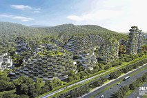 Kitajska gradi prvo gozdno mesto na svetu