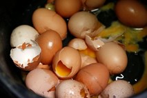 Nizozemska za insekticid v jajcih vedela že lani, a drugih držav uradno ni obvestila