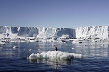 Pod ledeno skorjo Antarktike odkrili 91 vulkanov 
