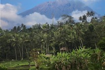 Na otoku Bali v strahu pred izbruhom vulkana že skoraj 50.000 ljudi zapustilo domove