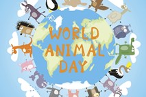 Danes praznujemo svetovni dan varstva živali: tudi živali so čuteča bitja  