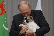 Putin simpatičnega kužka, ki ga je dobil za darilo, močno stisnil in ga poljubil na glavo