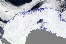 Na Antarktiki se je pojavila luknja v velikosti Nizozemske