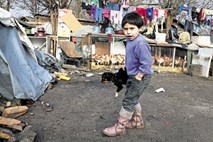 Roma priznala krivdo – bivata v nelegalnem naselju. A za to je kriva tudi država.