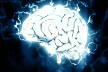 S pomočjo »spominskega vsadka« bi lahko izboljšali delovanje možganov za skoraj 30 odstotkov