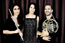 Trio s projektom klasične glasbe na Kickstarterju 