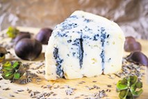 Gorgonzola - sir s plemenito modro plesnijo