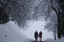 Meteorologi napovedujejo sneg do nižin, a ga bo odjuga hitro pobrala