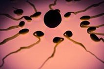 Spermiji kemoterapevtsko zdravilo ponesli čisto do rakavih celic